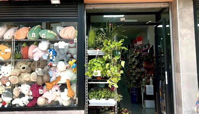 Mini Super -  Zona - Getafe