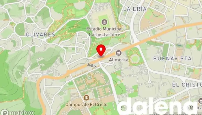 mapa de minymas tiendas Supermercado en Oviedo