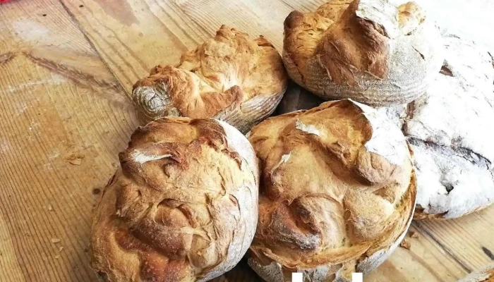 Panadería Alvapán - Caravia