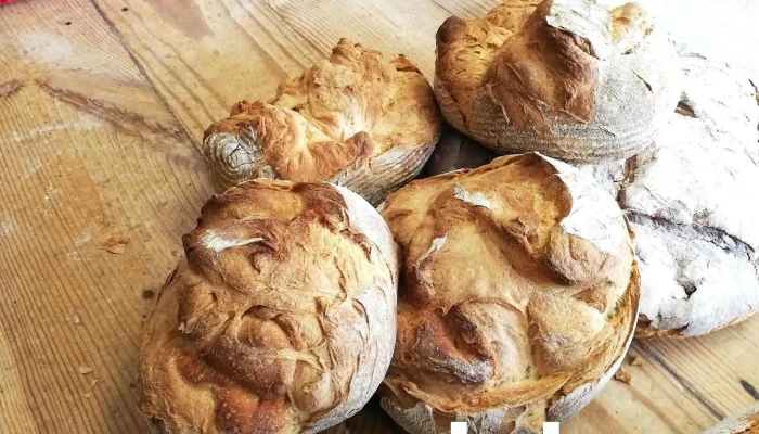 Panaderia Alvapan Como Llegar - Caravia