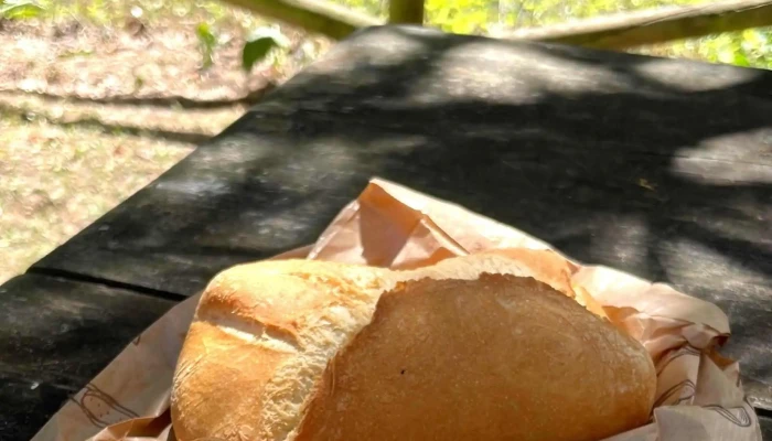 Panaderia Reposteria Cano Comentarios - Pola de Somiedo
