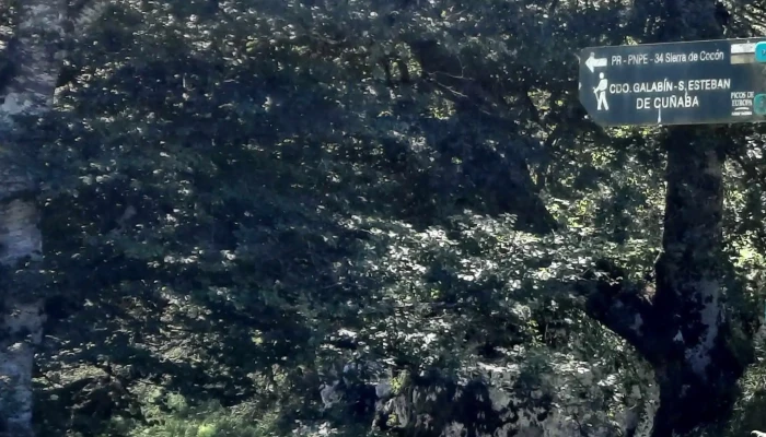 Parque Nacional De Los Picos De Europa En Penamellera Alta Donde - Asturias