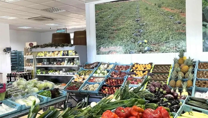 Pollentia Fruits Alcudia - 33