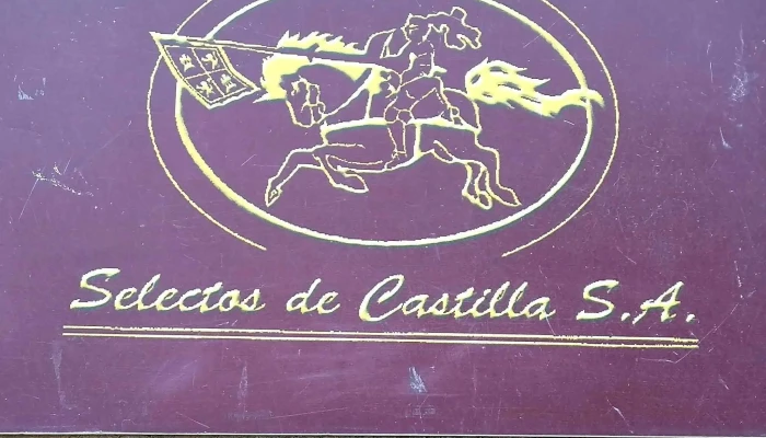 Selectos De Castilla Numero - Villamartín de Campos