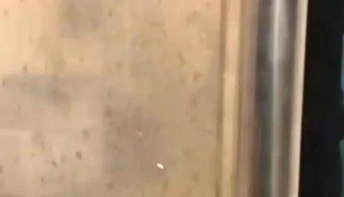 Selectos De Castilla Videos - Villamartín de Campos