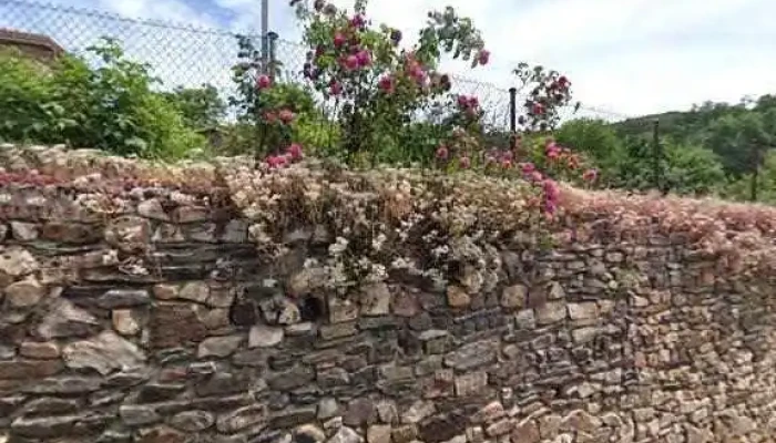 Sociedad Cooperativa Madrilena Los Apisquillos Fotosdeg - Puebla de la Sierra