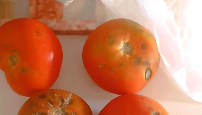 Supermercado Alcampo -  Descuentos - Leganés