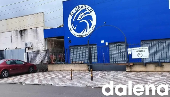 Supermercado El Gavilan Videos - Velilla de San Antonio
