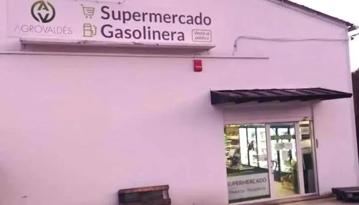 Supermercado y gasolinera Agrovaldés - Asturias