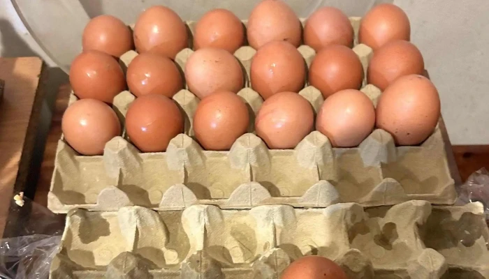 Supermercados Dia - Alpedrete