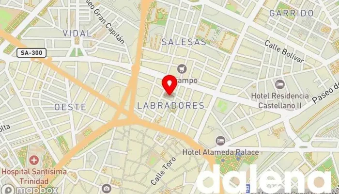 mapa de Supermercados Dia Supermercado, Pescadería en Salamanca
