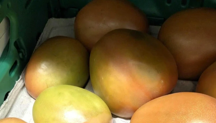 Supermercados Dia -  Puntaje - Leganés