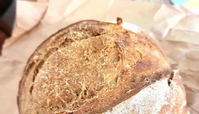 Verna Obrador Sin Gluten Sitio Web - Villanueva de