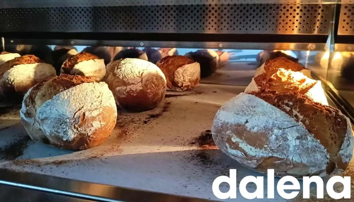 Verna Obrador Sin Gluten Videos - Villanueva de