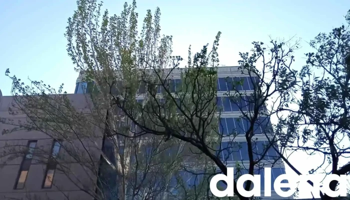 Zona Comercial Albufera Plaza -  Mas Recientes - Madrid